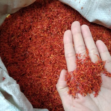 红花统货中药用红花