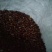 皂角米