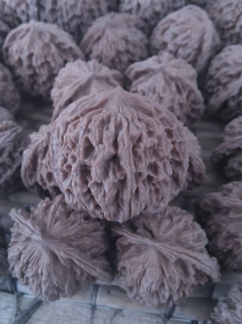 山核桃30~35mm去皮干