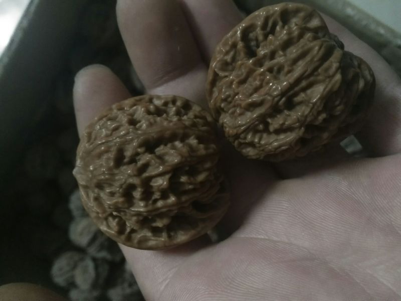 文玩核桃