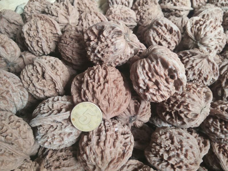 文玩核桃