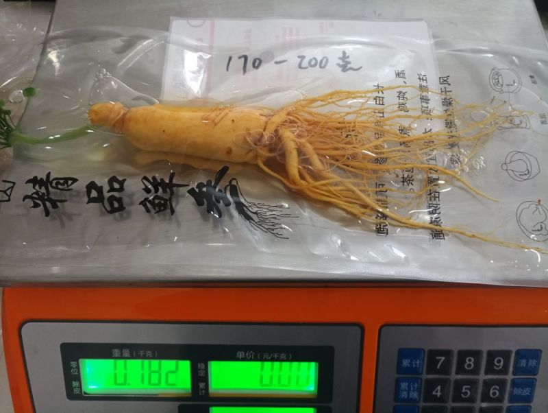 【荐】保鲜参大小都有下单送礼物满50颗包邮