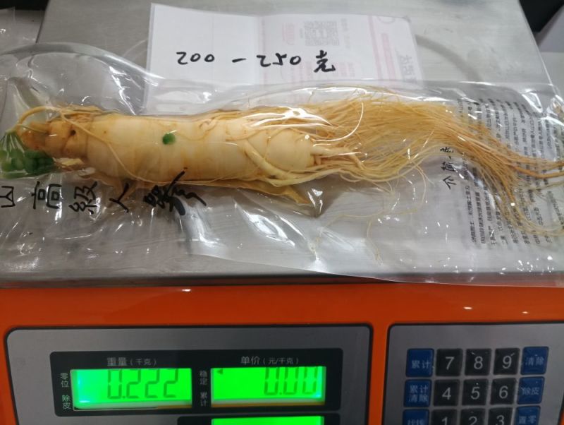 【荐】保鲜参大小都有下单送礼物满50颗包邮