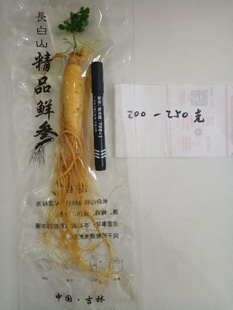 【荐】保鲜参大小都有下单送礼物满50颗包邮
