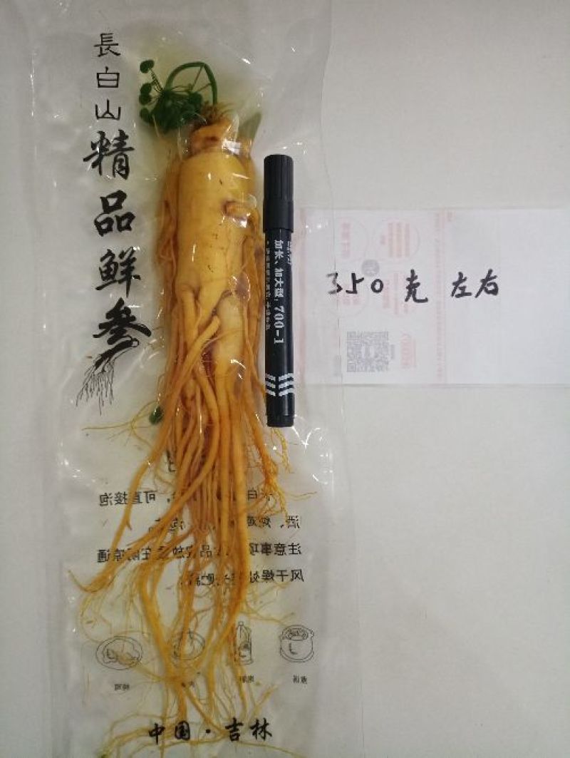 【荐】保鲜参大小都有下单送礼物满50颗包邮