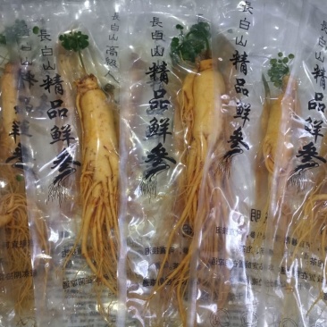 【荐】保鲜参大小都有下单送礼物满50颗包邮