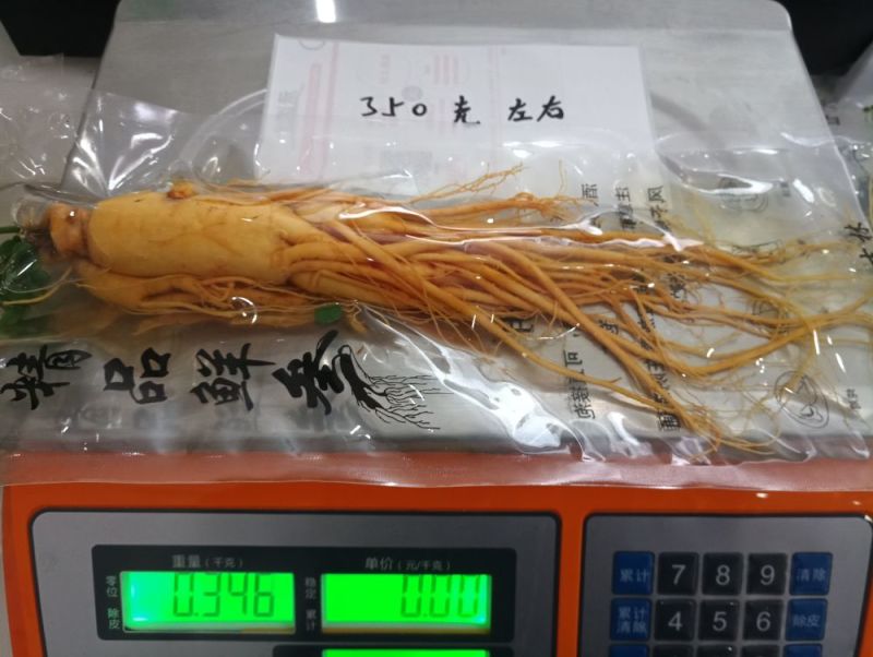 【荐】保鲜参大小都有下单送礼物满50颗包邮