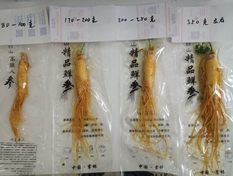 【荐】保鲜参大小都有下单送礼物满50颗包邮