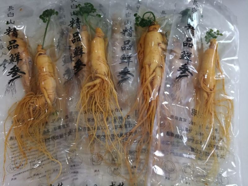 【荐】保鲜参大小都有下单送礼物满50颗包邮