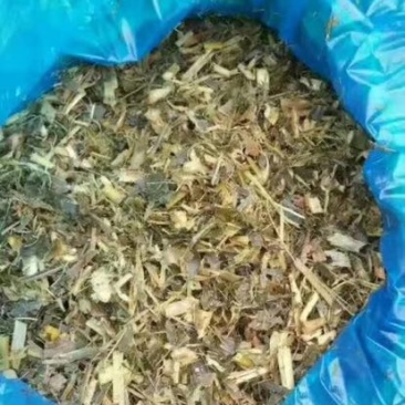 青贮草青储玉米秸秆