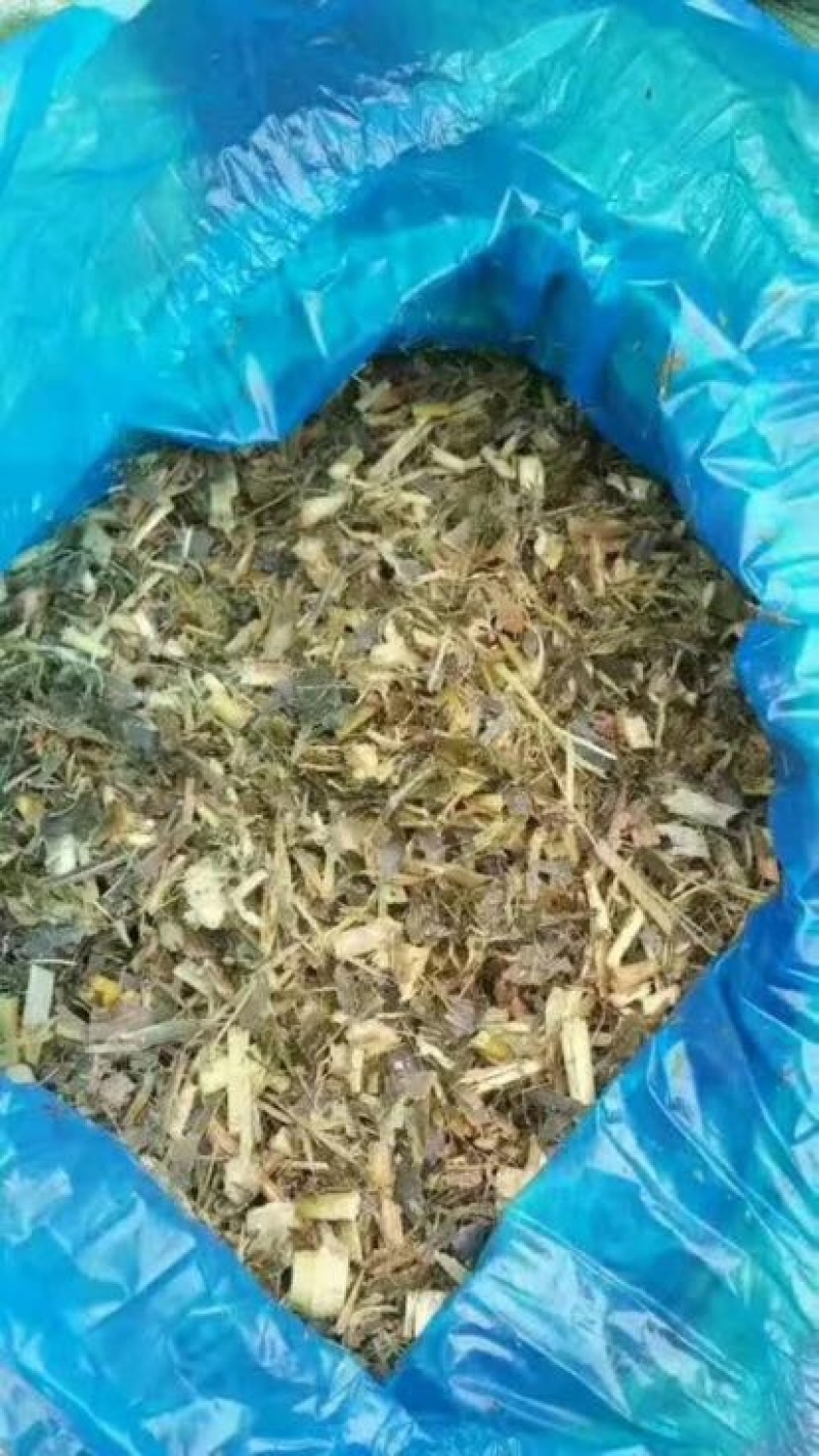 青贮草青储玉米秸秆