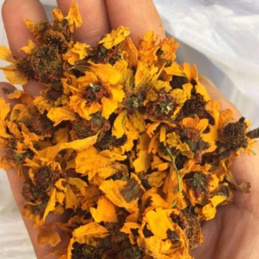 包邮2025年新货新疆高海拔昆仑雪菊克里阳大量批发