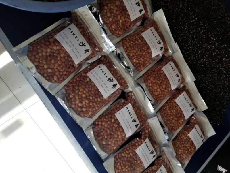 东方沙枣食用