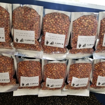 东方沙枣食用