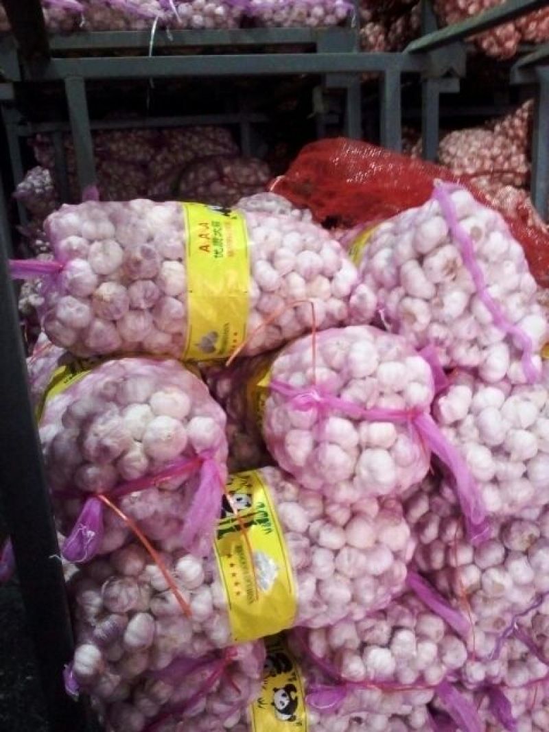 河南开封杞县大蒜精品红瓣紫皮蒜干蒜产地直发品质保证