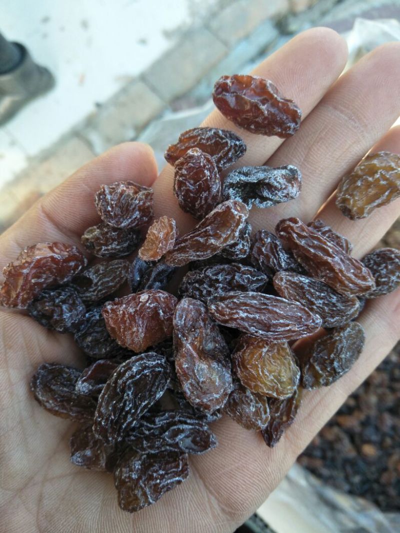 黑加仑葡萄干无核一级