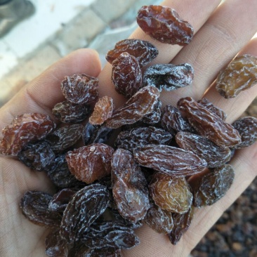 红玫瑰葡萄干无核一级