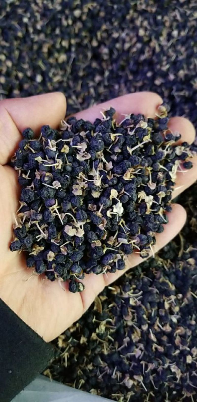 黑枸杞干货头茬
