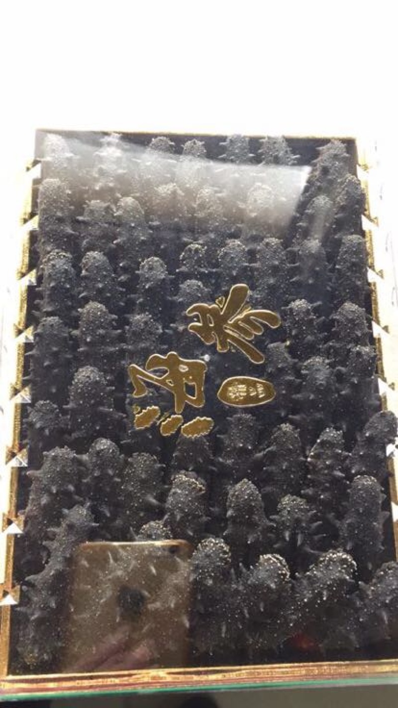 海参食用淡干深海底播海参一件代发