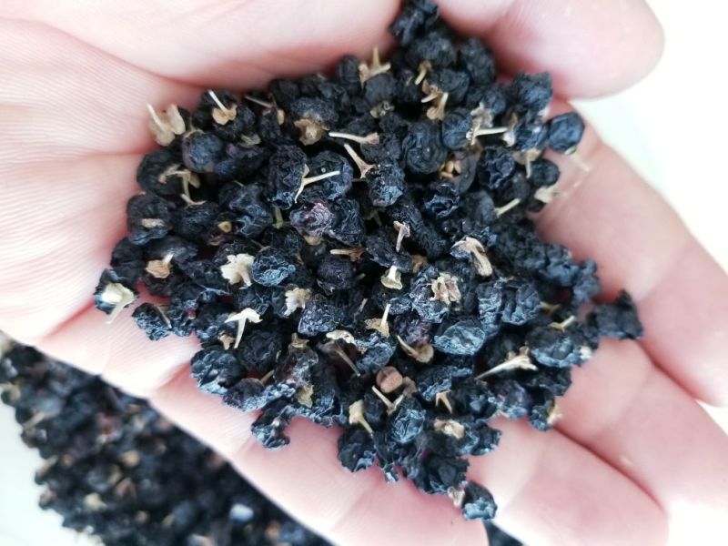 黑枸杞头茬干货