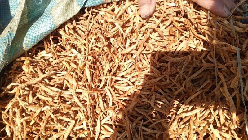 黄花菜散装一级
