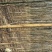 国槐8cm1~2米