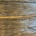 国槐8cm1~2米