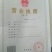 香椿苗大棚2公分，地裁苗山东泰安苗木批发基地