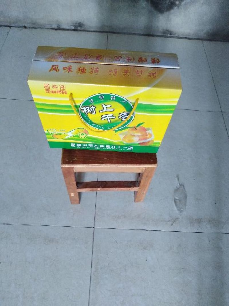 杏干