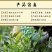 武夷山正山小种红茶特级125克×4盒/件现货包邮
