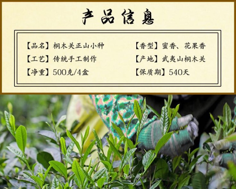 武夷山正山小种红茶特级125克×4盒/件现货包邮