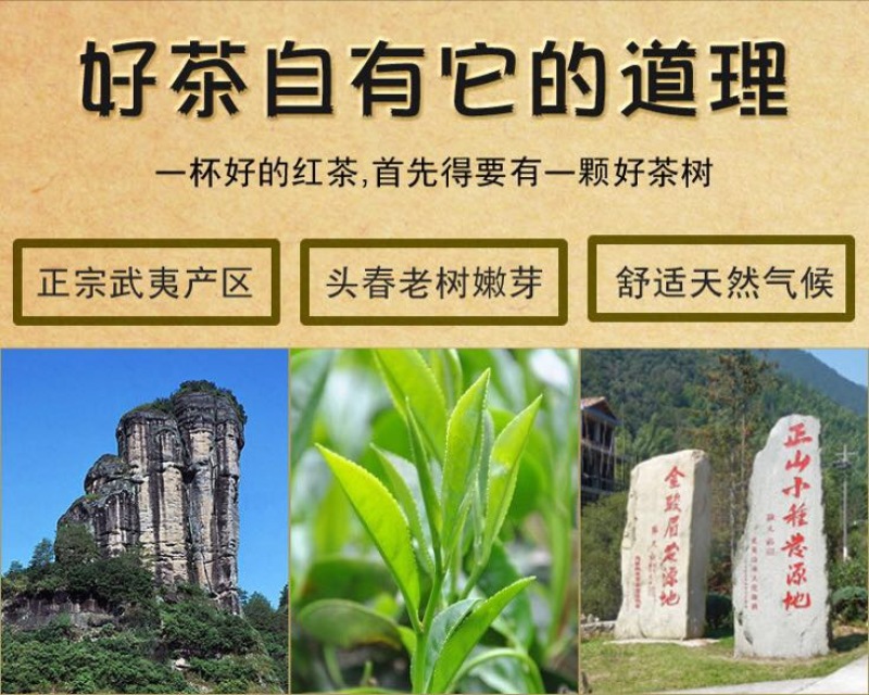 武夷山正山小种红茶特级125克×4盒/件现货包邮