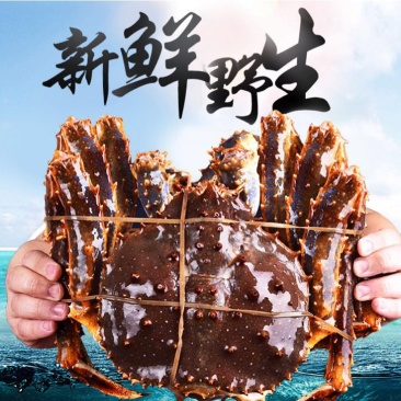 阿拉斯加帝王蟹