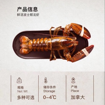 大波龙8只/kg以下