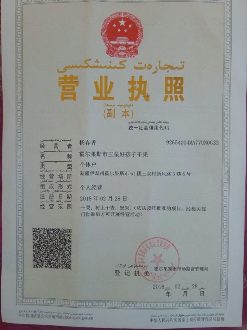 甜杏仁树上干杏杏仁