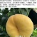 中蟠11号桃树苗80cm以上规格齐全黄肉蟠桃，品种纯正
