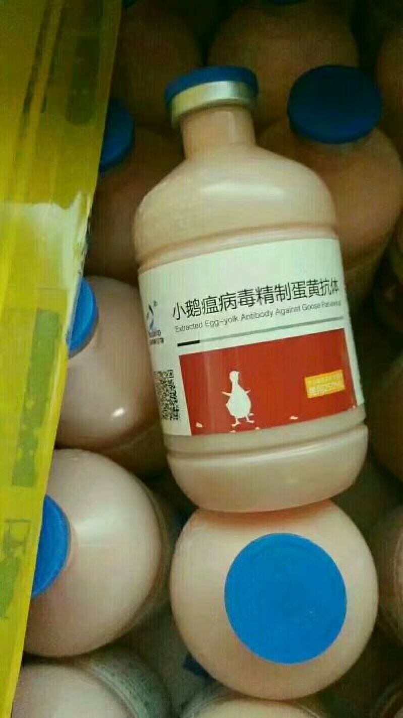 鹅苗0.5斤以下