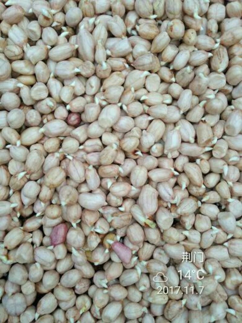 白沙系列干货品质保证书