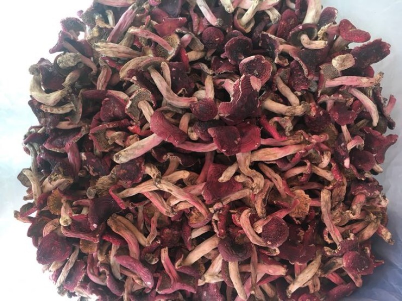 红菇大红菇，云南蓝底大红菇，云南食用菌批发