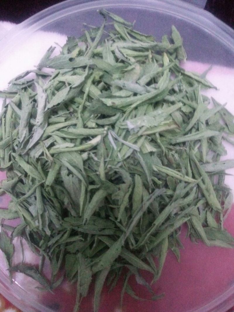 甜叶菊精选
