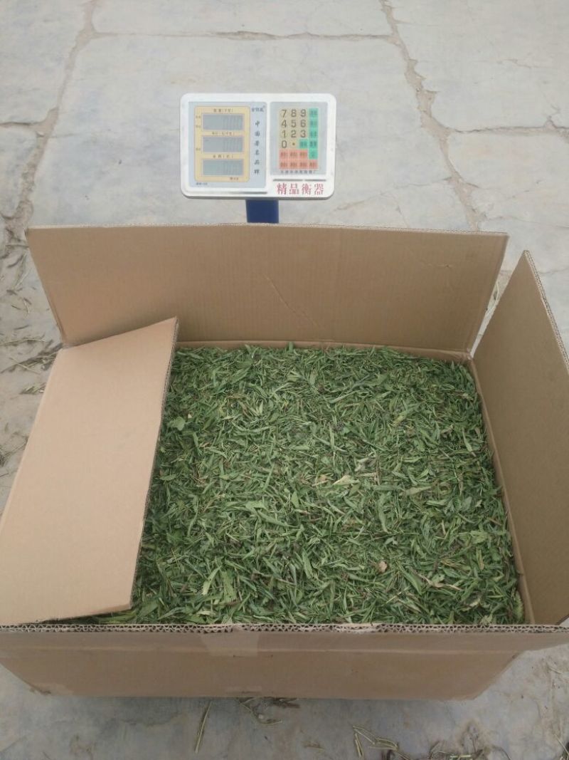 甜叶菊精选