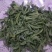 甜叶菊精选