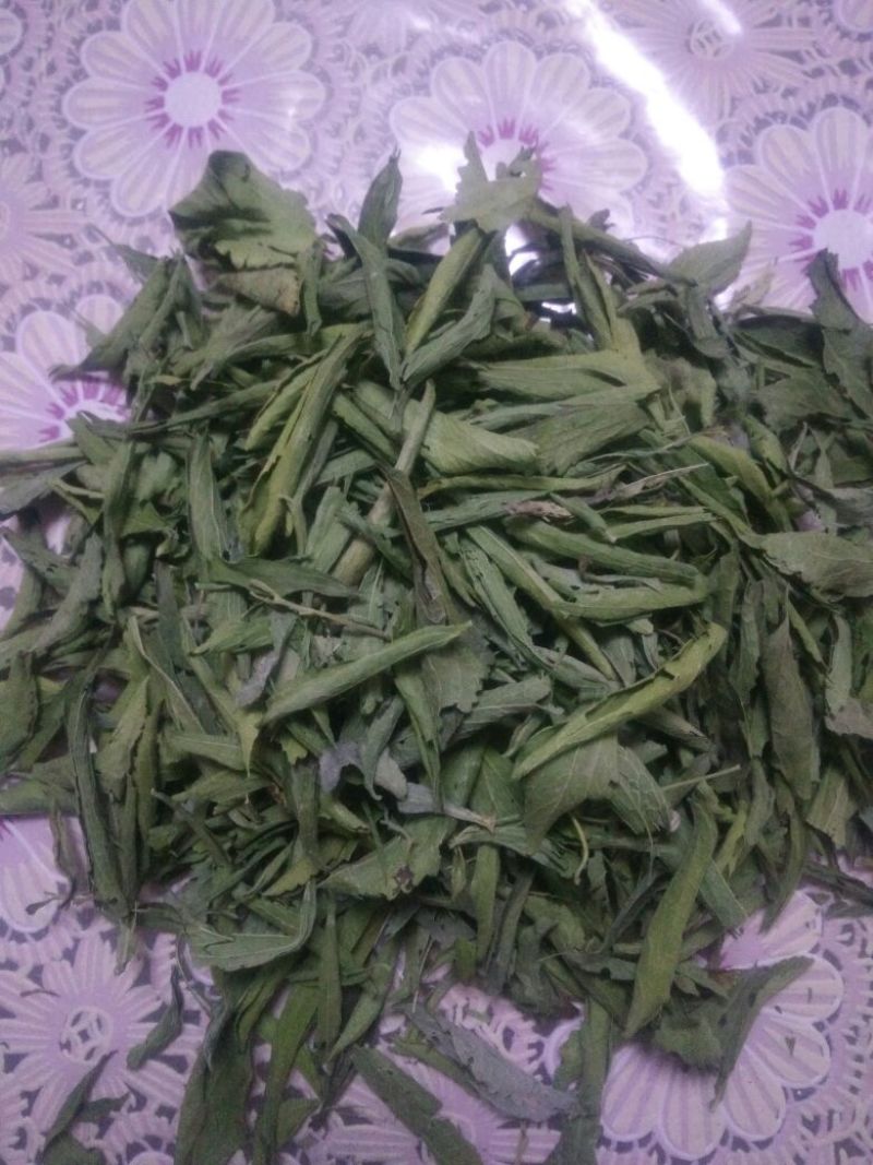 甜叶菊精选