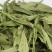 甜叶菊精选