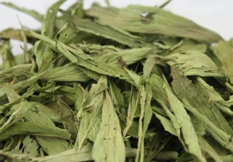 甜叶菊精选