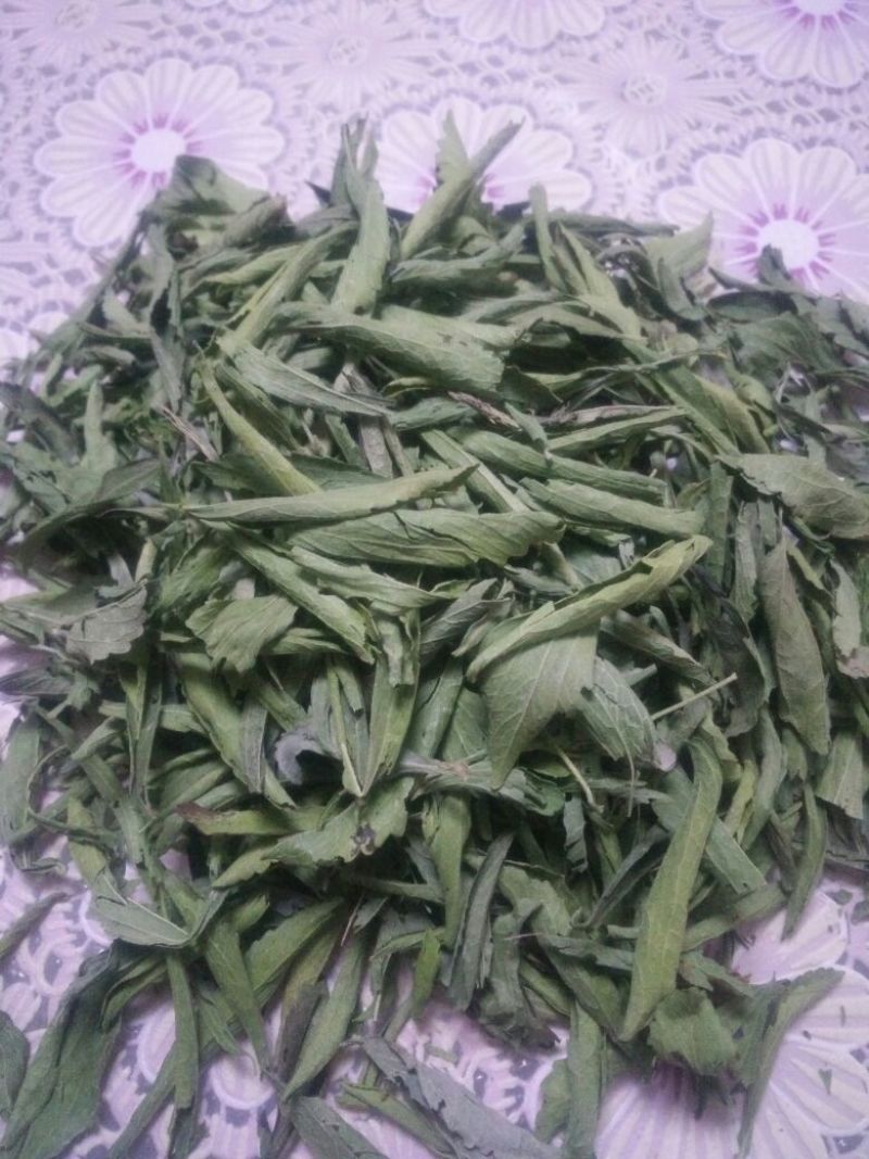 甜叶菊精选