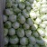 大量供应冷库里，大白菜2~3斤净菜，走巿场，，