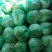 大量供应冷库里，大白菜2~3斤净菜，走巿场，，