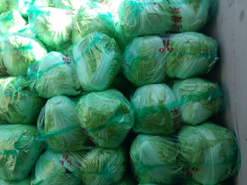 大量供应冷库里，大白菜2~3斤净菜，走巿场，，