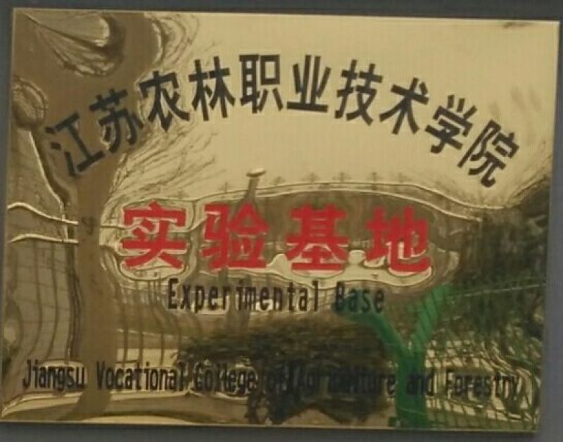 冰草、冰菜、非洲冰草、特菜、基地直供、量大优惠